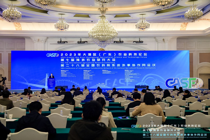 海外大会配图_副本.png