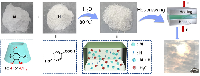 supramolecular glass_副本.png