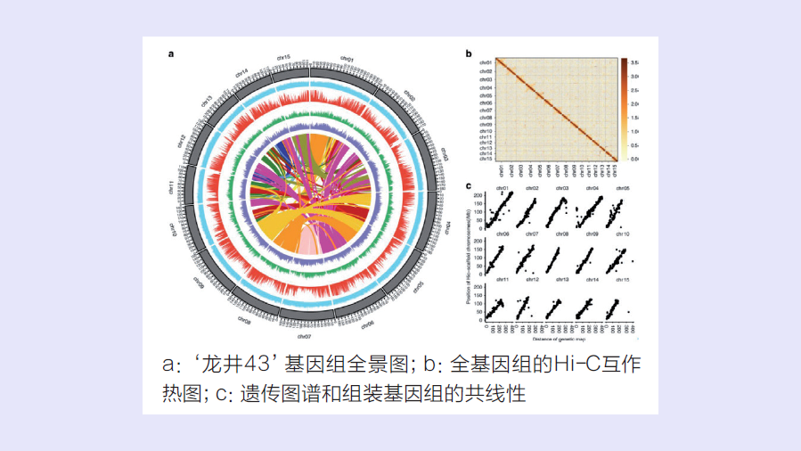 图片4_副本.png