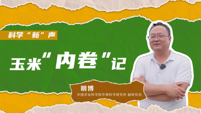 科学“新”声丨玉米 “内卷” 之路:密植技术促丰收 1c697af6e2f728604e4702.jpg