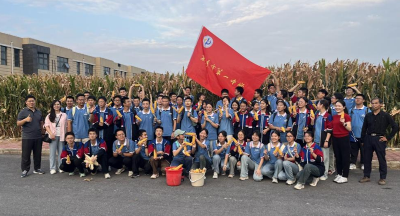 图片8_副本.png