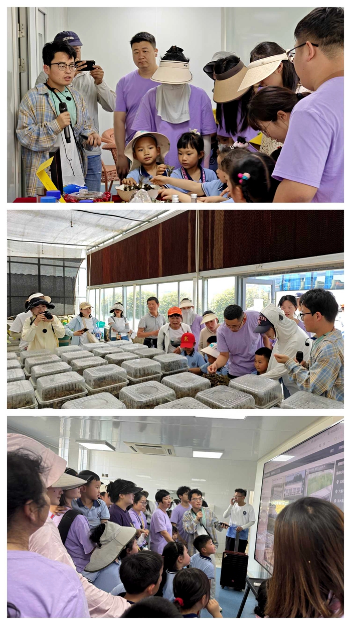 拼图.jpg