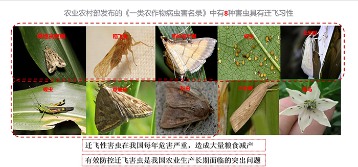 f44d3075895329cdc2901f.jpg