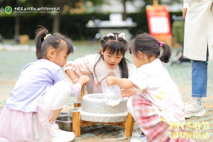 404763_daf22313-142f-4029-a45d-70535e7e01cdcopy.jpg