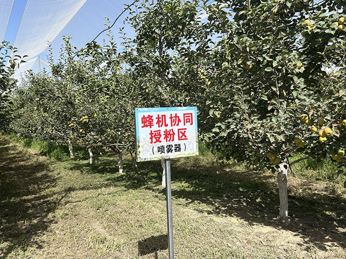 68bb0c09e4b078fce449d02c.jpg