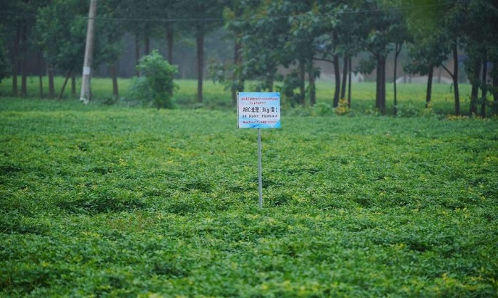 082wxig6000-4eui.jpg