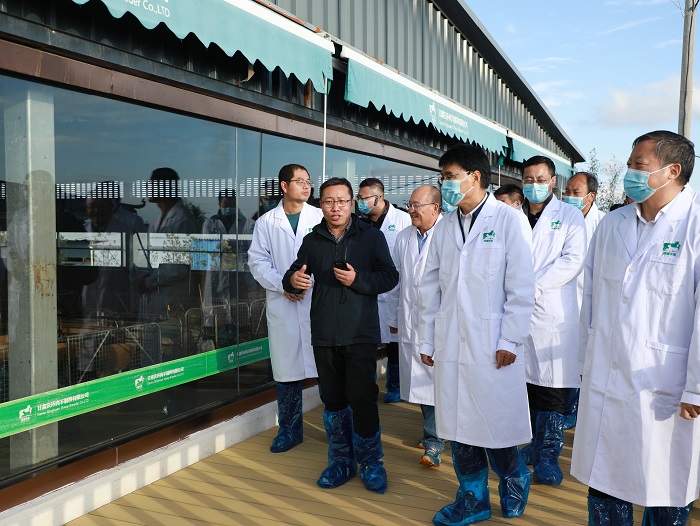 杨书记.jpg