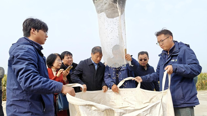 应对不利气候显成效,大豆绿色防控技术在豫交出高产答卷 422103_fcfec1ad-b9db-4bd6-b3a4-6e6428b31e63copy.jpg